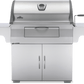 Charcoal Professional Grill, Stainless Steel